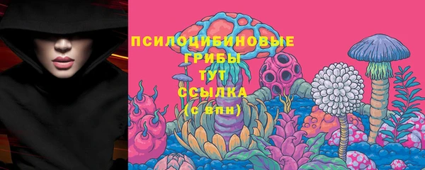 PSILOCYBIN Абаза