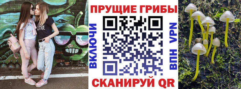 Галлюциногенные грибы Cubensis  Правдинск 